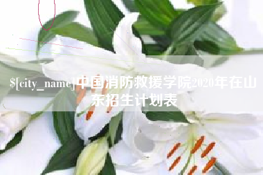 东至中国消防救援学院2020年在山东招生计划表