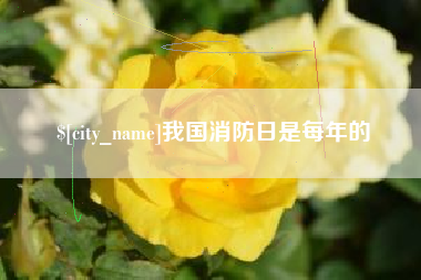 东至我国消防日是每年的