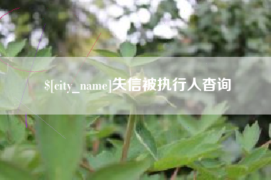 东至失信被执行人杳询