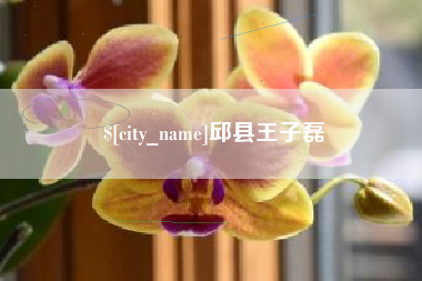 东至邱县王子磊