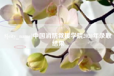 东至中国消防救援学院2020年录取结果