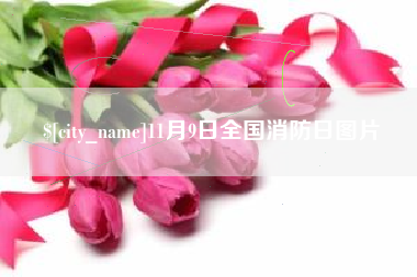 东至11月9日全国消防日图片