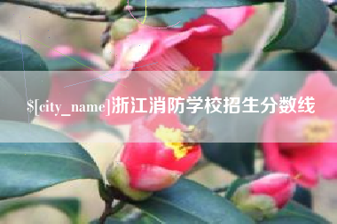 东至浙江消防学校招生分数线