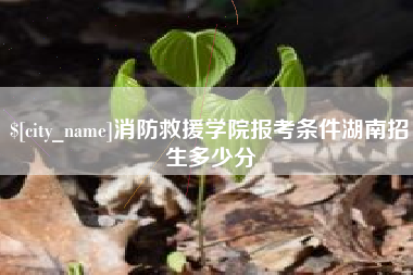 东至消防救援学院报考条件湖南招生多少分
