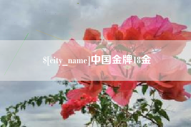 东至中国金牌18金