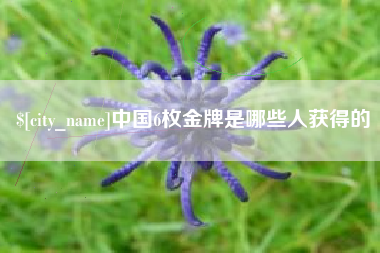 东至中国6枚金牌是哪些人获得的