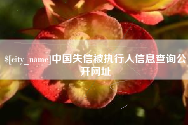 东至中国失信被执行人信息查询公开网址