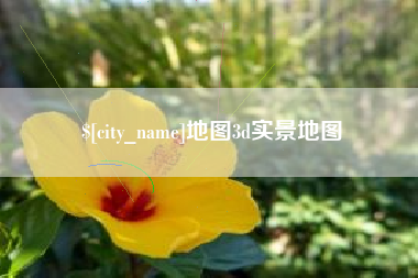 东至地图3d实景地图
