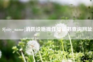东至消防设施操作员证书查询网址