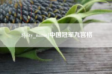 东至中国冠军九宫格