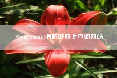 东至消防证网上查询网站