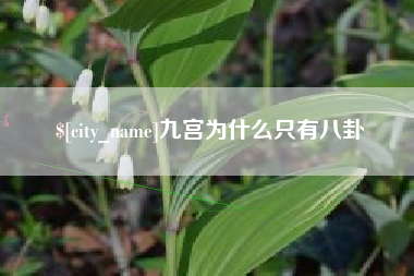 东至九宫为什么只有八卦