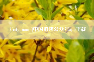 东至中国消防公众号app下载