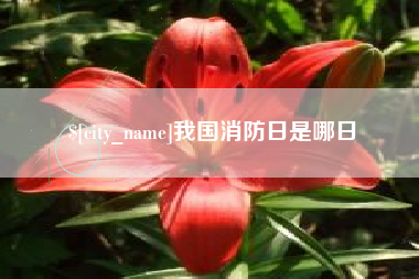 东至我国消防日是哪日