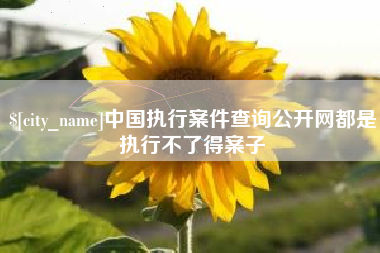 东至中国执行案件查询公开网都是执行不了得案子
