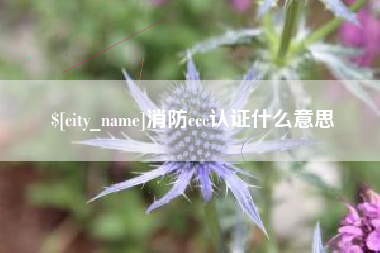东至消防ccc认证什么意思