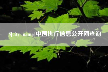东至中国执行信息公开网查询