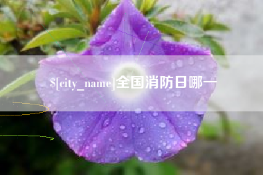 东至全国消防日哪一