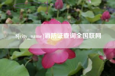 东至消防证查询全国联网