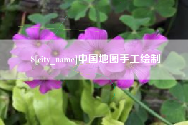 东至中国地图手工绘制