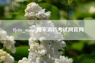 东至国家消防考试网官网