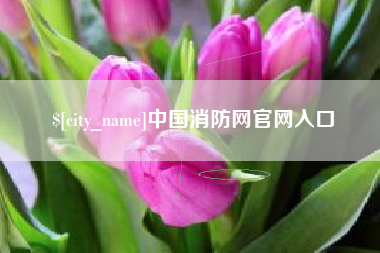 东至中国消防网官网入口