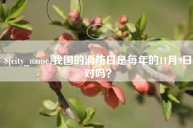 东至我国的消防日是每年的11月9日对吗？