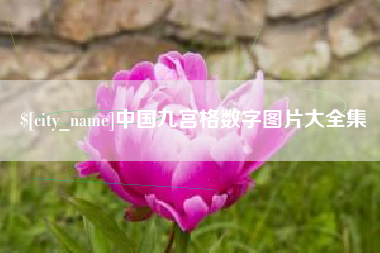 东至中国九宫格数字图片大全集