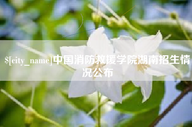 东至中国消防救援学院湖南招生情况公布