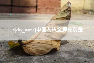 东至中国九枚金牌分别是