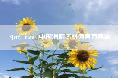 东至中国消防器材网官方网站