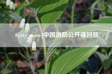 东至中国消防公开课回放