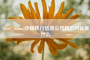 东至中国执行信息公开网的网址是什么