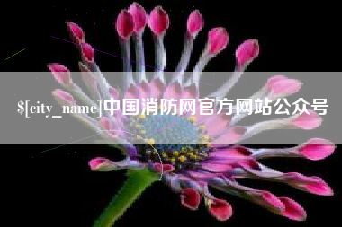 东至中国消防网官方网站公众号