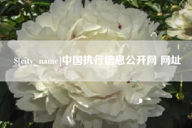 东至中国执行信息公开网 网址