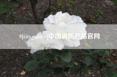 东至中国消防产品官网