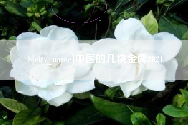 东至中国的几块金牌2021