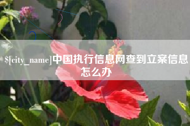 东至中国执行信息网查到立案信息怎么办