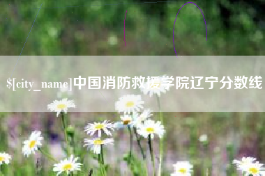 东至中国消防救援学院辽宁分数线