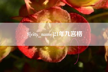 东至21年九宫格