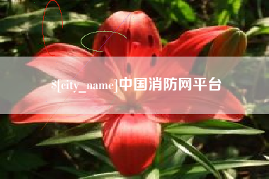 东至中国消防网平台