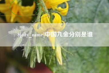东至中国九金分别是谁