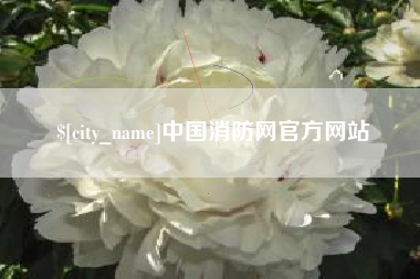 东至中国消防网官方网站