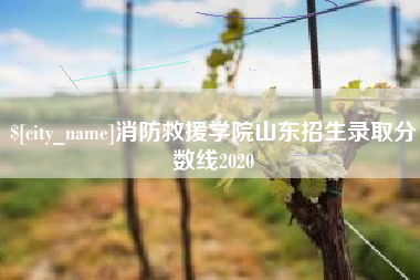 东至消防救援学院山东招生录取分数线2020