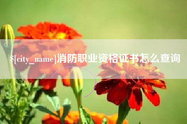东至消防职业资格证书怎么查询