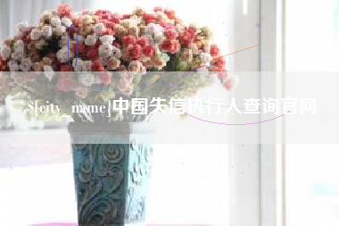 东至中国失信执行人查询官网