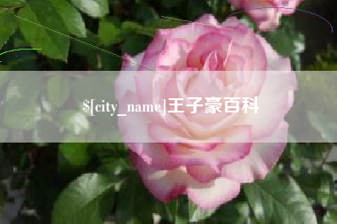 东至王子豪百科