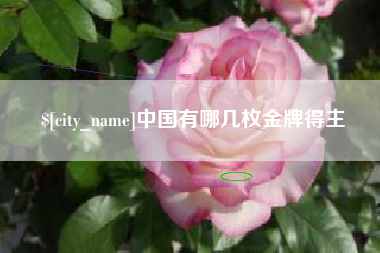 东至中国有哪几枚金牌得主