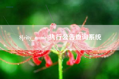 东至执行公告查询系统