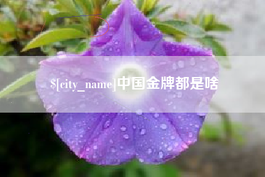 东至中国金牌都是啥